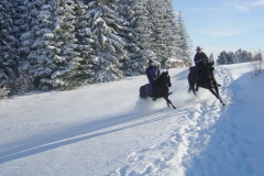 Fotos Breuer Sommer und Winter 073
