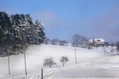 P1110305_korr